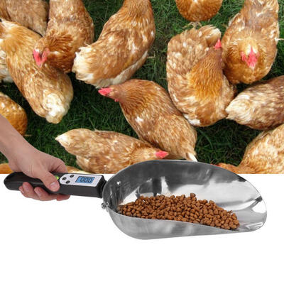 

Greensen Stainless Steel Electronic Measuring Food Scoop Feed Shovel Farm Pet Poultry with Handle
