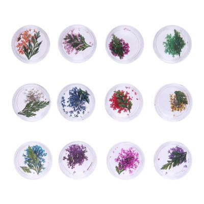

12pcsBox Real Leaves Nail Dried Flowers DIY Nature Manicure Tool