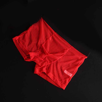 

Mens Mesh Sexy Briefs Transparent Shorts Trunks Underwear Underpants Breathable