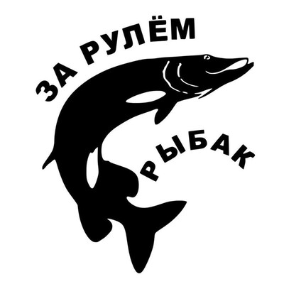 

Tailored Stickers Web Cam Funny Fishing Bumper StickersAnd Decals Car Styling Accessories