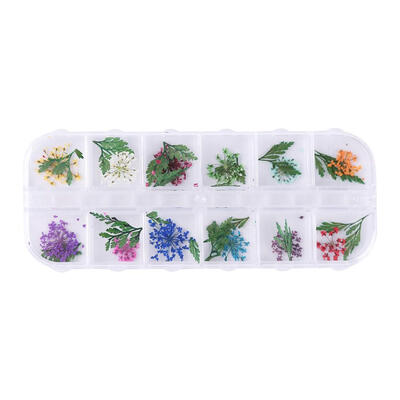 

3D Nail Art Dried Flower Leaf DIY Manicure Preserved Natural Floral Sticker