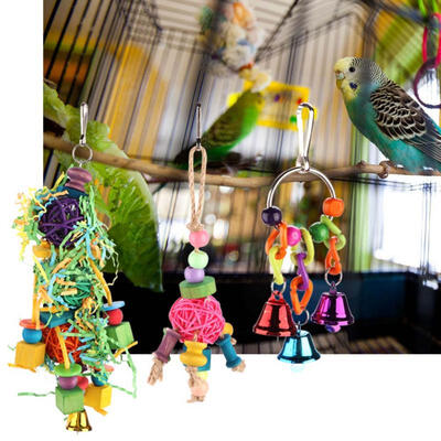 

Greensen 3PCS Colorful Parrot Toys Hanging Chew Funny Toys for Birds Home Decoration