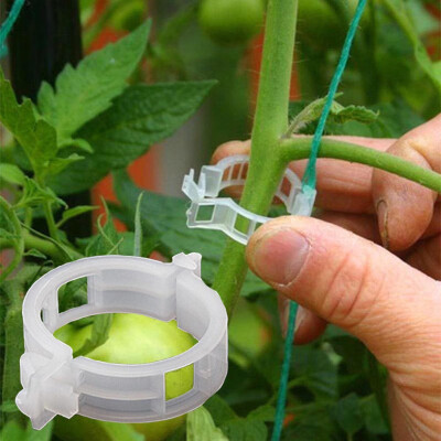 

Siaonvr 100PC Trellis Tomato Clips Supports Connects Plants Vines Trellis Twine Cages