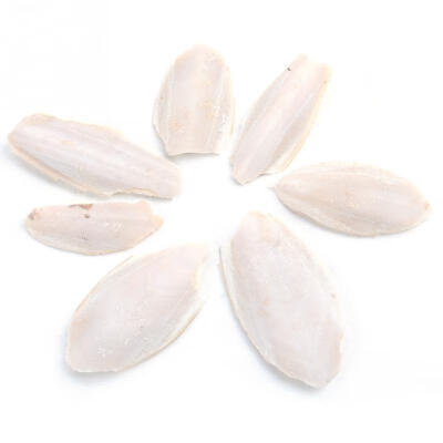 

Cuttlefish Cuttle Fish Bone Parrotts Birds Reptiles Rabbits Tortoise Food 1 Bag