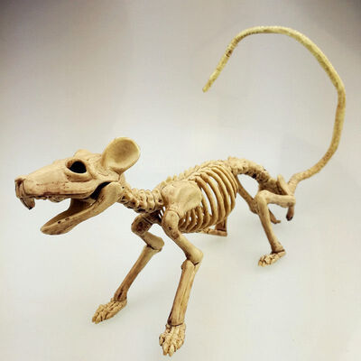 

New Hot Animal Skeleton Model BatSpiderScorpionLizard Bones Halloween Party Decoration