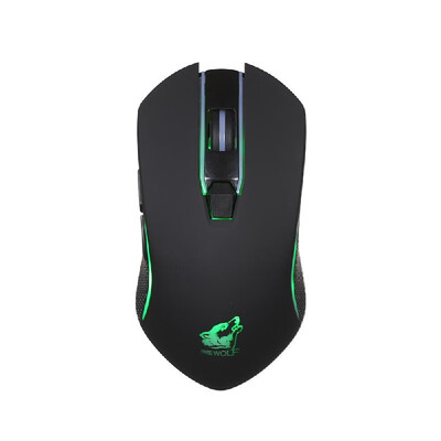 

Free Wolf Wireless Gaming Mouse with 1600DPI Silent Gaming Mice of 3 Adjustable DPI&2 Programmable Buttons with Built-in Recha
