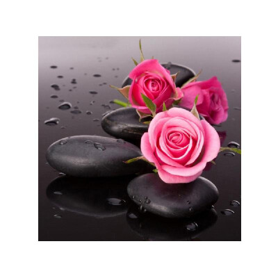 

DIY 5D Diamond Painting Pink Rose Rhinestone Embroidery Full Drill Gem Pictures Wall Art Craft&Home Decoration