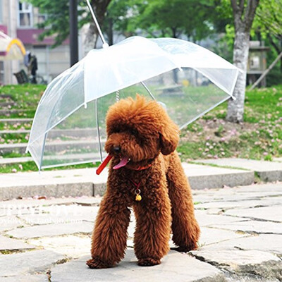 

Waterproof Pet Umbrella Dog Transparent Umbrella Raincoat