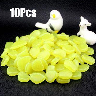 

10pcs Glow in the Dark Garden Pebbles for Walkways Aquarium Decor Plants Luminous Stones