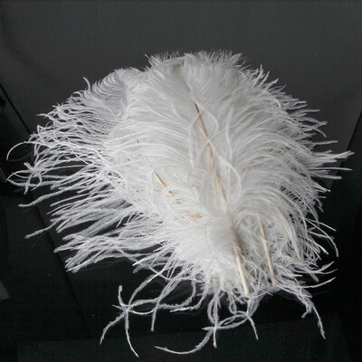

10 Pcs Wholesale 30-35CM12-14Inch Quality Natural Ostrich Feathers White Home Decor