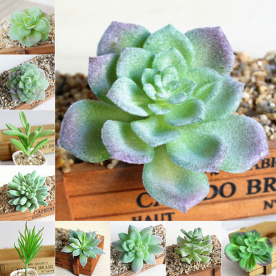 

10pcs Piante Succulente Artificiali Fiore In Plastica Ornamenti Decor Casa Room