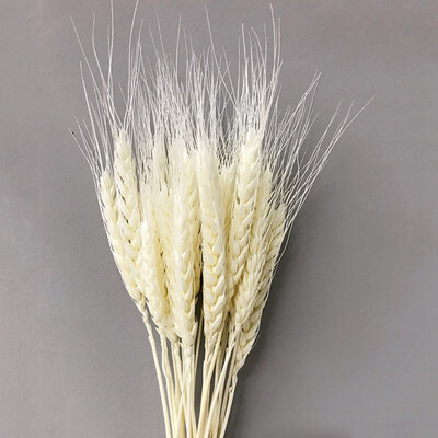

25PcsSet Wheat Bouquet Fake Diy Scrapbooking Photography Prop Home Garden Wedding Party Decoration