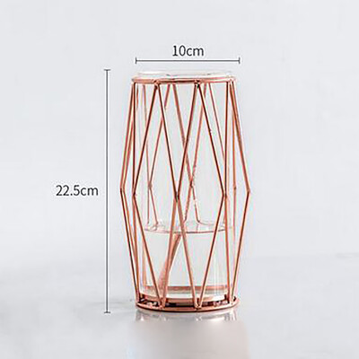 

Toponeto Nordic Metal Light Luxury Style Creative Hydroponic Container Vase Ornament