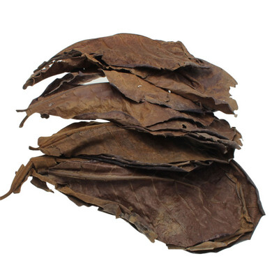 

50pcs Antibacterial Olive Kernel Leaves for Fish Tank Aquarium Landscape Decoration