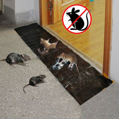 

Siaonvr 3pc Big Size Mice Mouse Rodent Glue Traps Board Super Sticky Rat Snake Bugs Safe