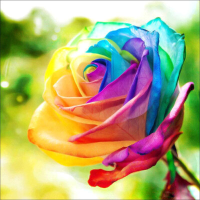 

DIY 5D Diamond Painting Pink Rose Rhinestone Embroidery Full Drill Gem Pictures Wall Art Craft&Home Decoration