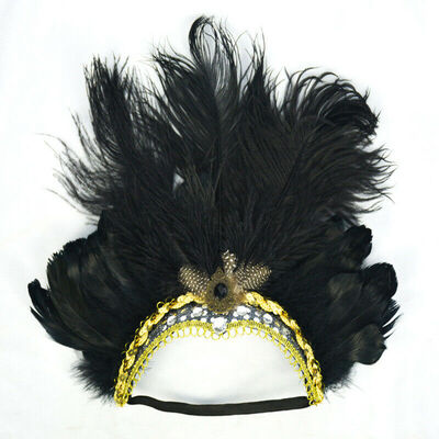 

Indian Crystal Crown Feather Headband Headdress Carnival Headpiece Headgear