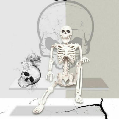 

2019 40cm Poseable Full Life Size Human Skeleton Halloween Decoration Party Prop