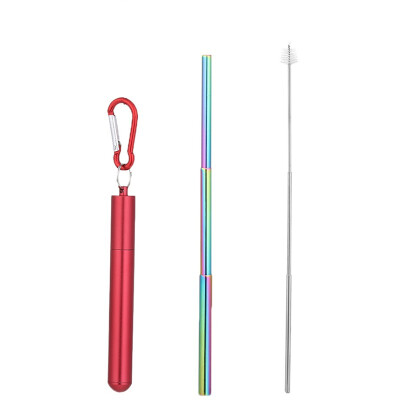 

New Hot Portable Reusable Drinking Telescopic Stainless Steel Straws Sets Carabiner