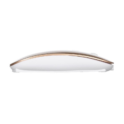 

Wireless Mouse Portable BT Mouse Rechargeable Ergonomic 24GHz USB Optical Mice Silent Dual Mode for PC LaptopGolden