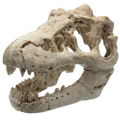 

Resin AquariumTerrarium Decoration Crocodile Skull For Fish Tank Resin Orn