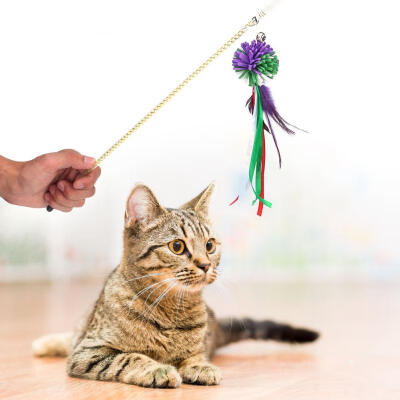 

Greensen 4PCsset Pet Cat Funny Teaser Stick Toy with Bell Feather Flower Ball Interactive Play Games