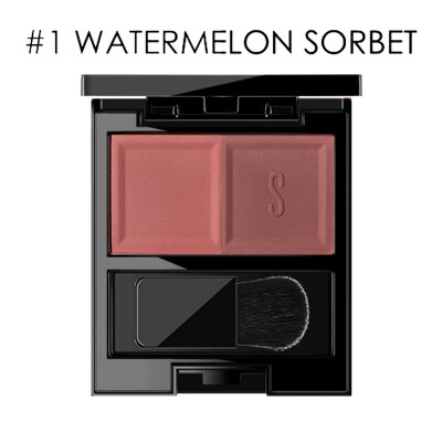 

Face Mineral Pigment Blusher Blush Powder Brozer Cosmestics Professional Palette Blush Contour Shadow