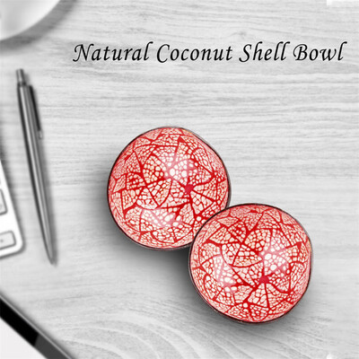 

Toponeto Bowl Colorful Handmade Food Container Coconut Shell Paint Dishes Craft Natural
