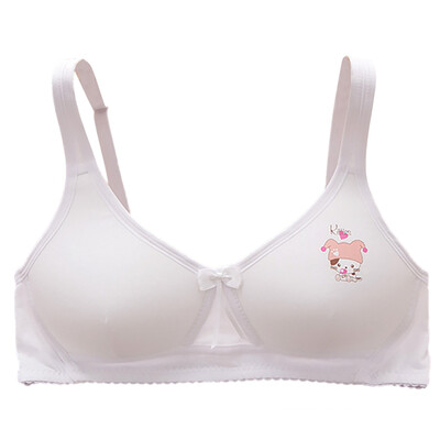 

Super Cute Girls Bra Small Breast Push Up Bra Sexy Lingerie Underwear Women Seamless Wireless Cotton Bras for Women