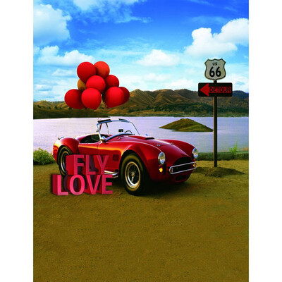 

Red Wedding Car Photo Backdrop 57FT Vinyl Fabric Cloth Digital Printing Photo Background s-2407