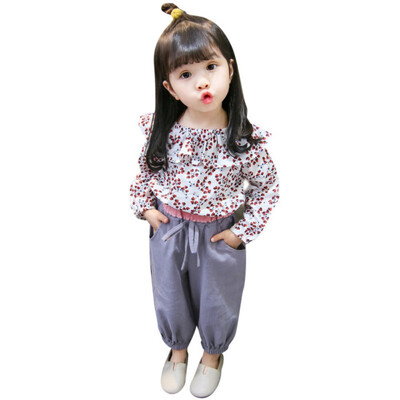 

Autumn Baby Girls Clothes Set Casual Long Sleeve Floral Print Pullover T-shirts TopsPants Suits for Children Kids Costume Sets