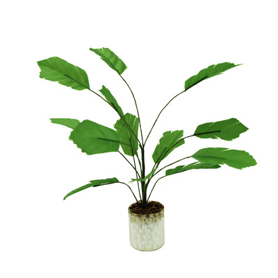 

Siaonvr 112 16 Dollhouse Miniature Scene Model Green Potted Plant Pretend Play Toy