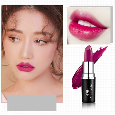 

10 Colors Matte Lipsticks Waterproof Matte Lipstick Lip Sticks Cosmetic Easy to Wear Matte Batom Makeup Lipstick