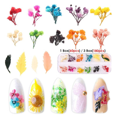 

60180pcs 3D Nail Art Dried Flowers DIY Flower Decoration Nails Stickers Tips Nail Art Decals