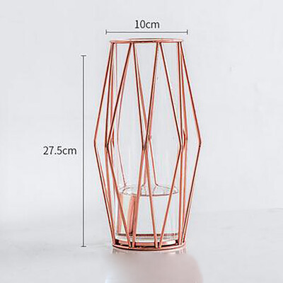 

Gobestart Nordic Metal Light Luxury Style Creative Hydroponic Container Vase Ornament