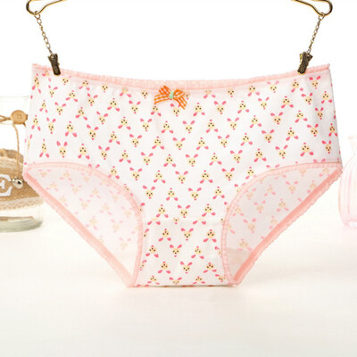 

Womens Mid Rise Seamless Cotton Underwear Briefs Cartoon Print Cute Lingerie Ladies Underpants