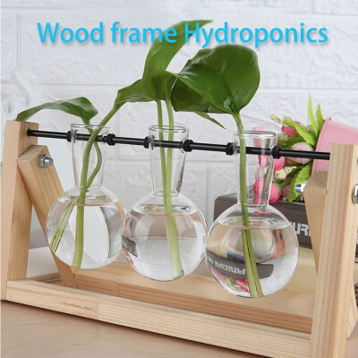 

Glass Flower Pot Transparent Plant Terrarium Glass Vase with Wooden Stand for Home Decoration