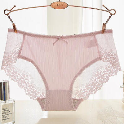 

Womens Panties Lace Seamless Transparent Mesh Low Waist Sexy Womens Briefs Fancy Lace Lingerie calcinha renda