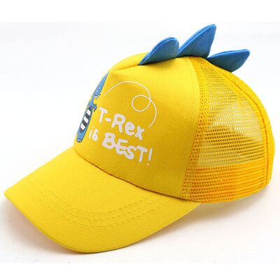 

Male Female Primary Cecondary School Students Outdoor Activities Small Dinosaur Pattern Sunshade Breathable Mesh Cap Sun Hat