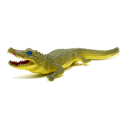 

〖Follure〗Education Simulated Model Cartoon Toy Best For Kids To Learn In School