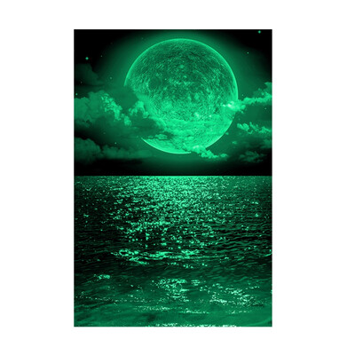 

DIY Moonlight Luminous Wall Stickers PVC Glow In The Dark Decals Art Posters Removable Self-Adhesive Plus Sponge Stick Packaging