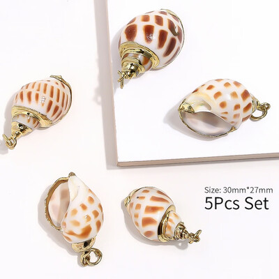 

5 Pcs Gold Plated Sea Shells For Jewelry Fashion DIY Handmade Home Decor Natural Shell Craft Accessories Ornaments