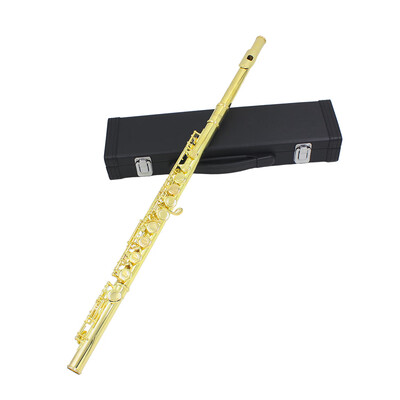 

Western Concert Flute Cupronickel Plated Silver 16 Holes C Key Woodwind Instrument with Cleaning Cloth Stick Gloves Mini Screwdriv