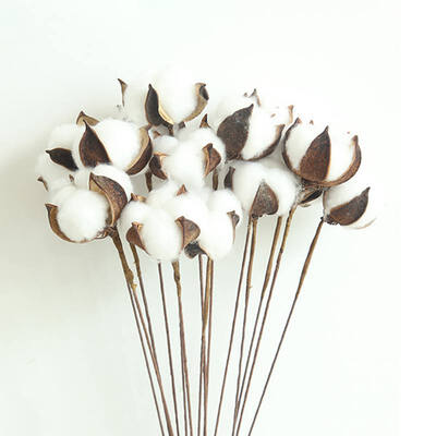 

23 Inches Natural Cotton Stems Flower Nordic Dried Cotton Flowers for Home Bar Shop Decoration Wedding Dried Flowers Decoration