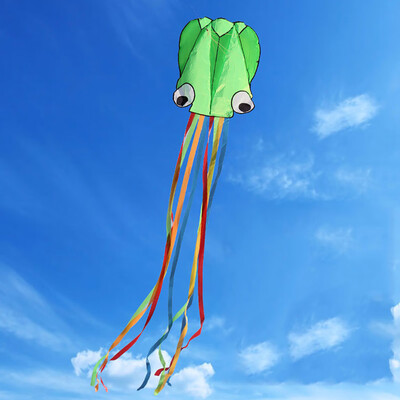 

Siaonvr Large Octopus Long Tail Beach Kites-Perfect Toy for Kids&Adults Outdoor Game