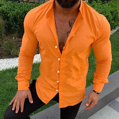 

Autumn Fashion Mens Casual Dress Slim Fit Shirt Long Sleeve Shirts Tops Blouse