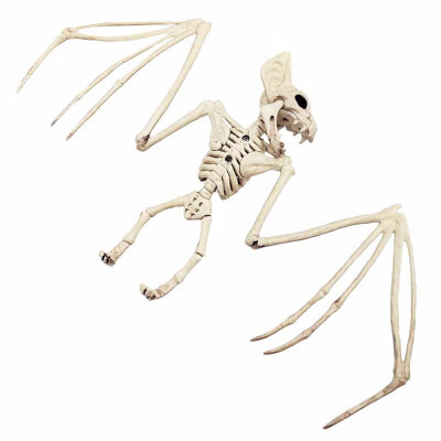 

Halloween Accessories Skeleton Holiday Party Tools Escape Skeleton Space Spider Snake Bat Model Skeleton