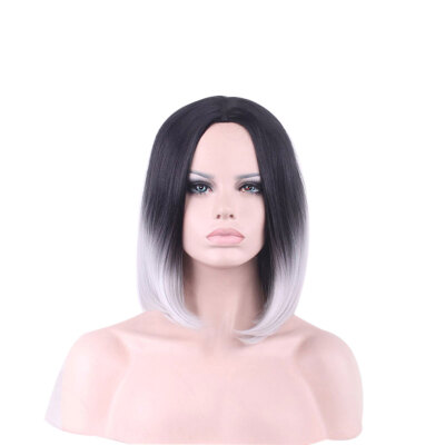 

Straight Black-Grey Gradient Colors Women Full Hair Wig Middle Parting Chemical Fiber Headgear