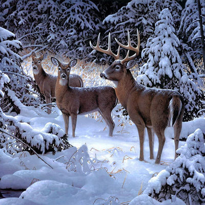 

Chirsmas Deer Diamond Embroidery Landscape With Rhinestones Needlework Diamond Mosaic Nature Sale Kits For cross-stitching