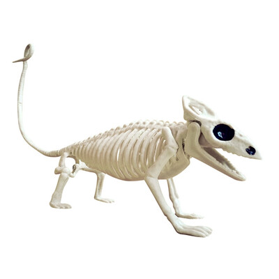 

Halloween Accessories Skeleton Holiday Party Tools Escape Skeleton Space Spider Snake Bat Model Skeleton